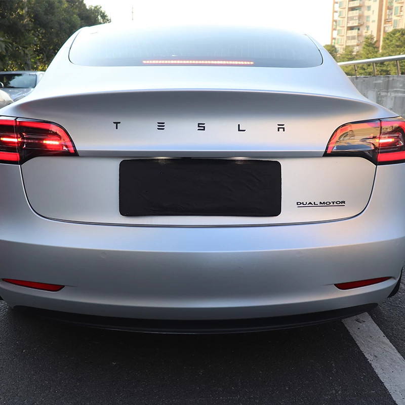 Tesla Car Emblem
