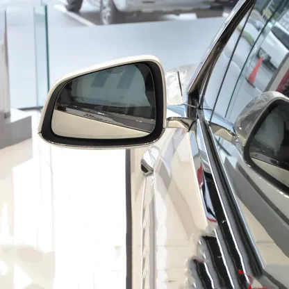 Rearview Mirror Blade for Tesla Model S/3/X/Y(2019-2023)