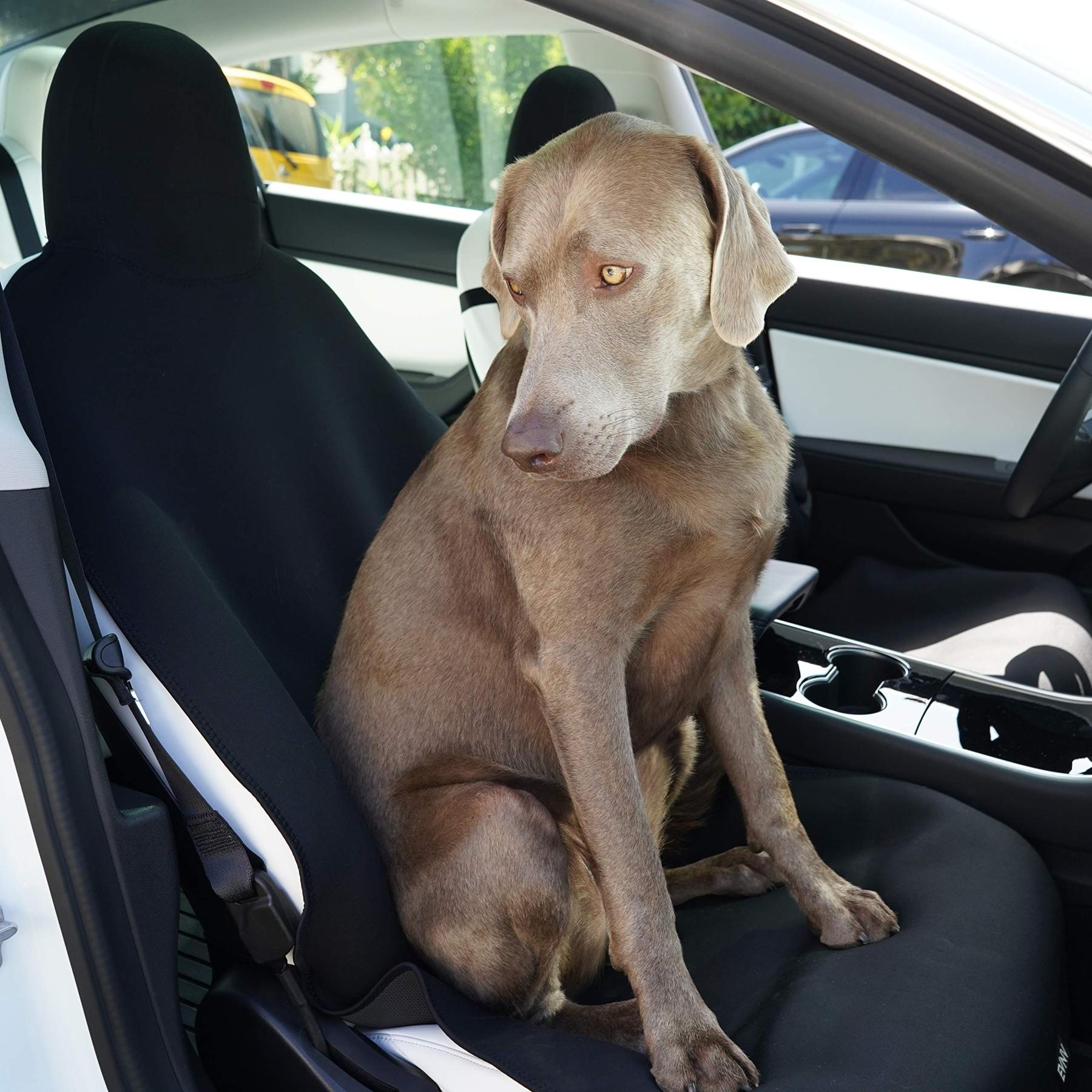 2pcs Pet cushion for Tesla Model 3/Y/S/X 2017-2023
