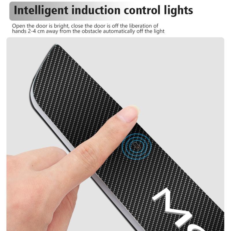 LED light threshold protector for Tesla Model 3/Y