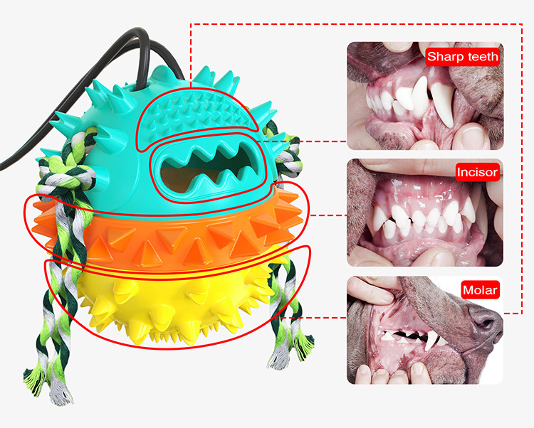 Dog Vacuum suction cup tug-of-war toys