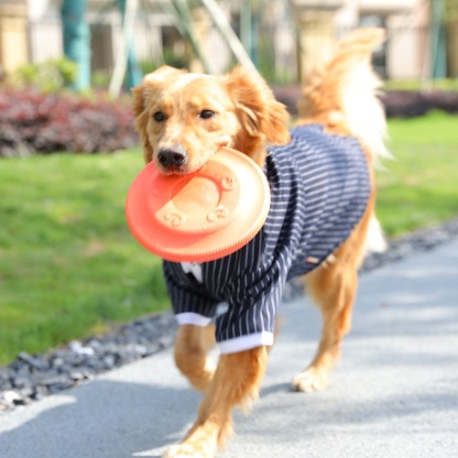 Frisbee Bite Resistant Training Dog Toys