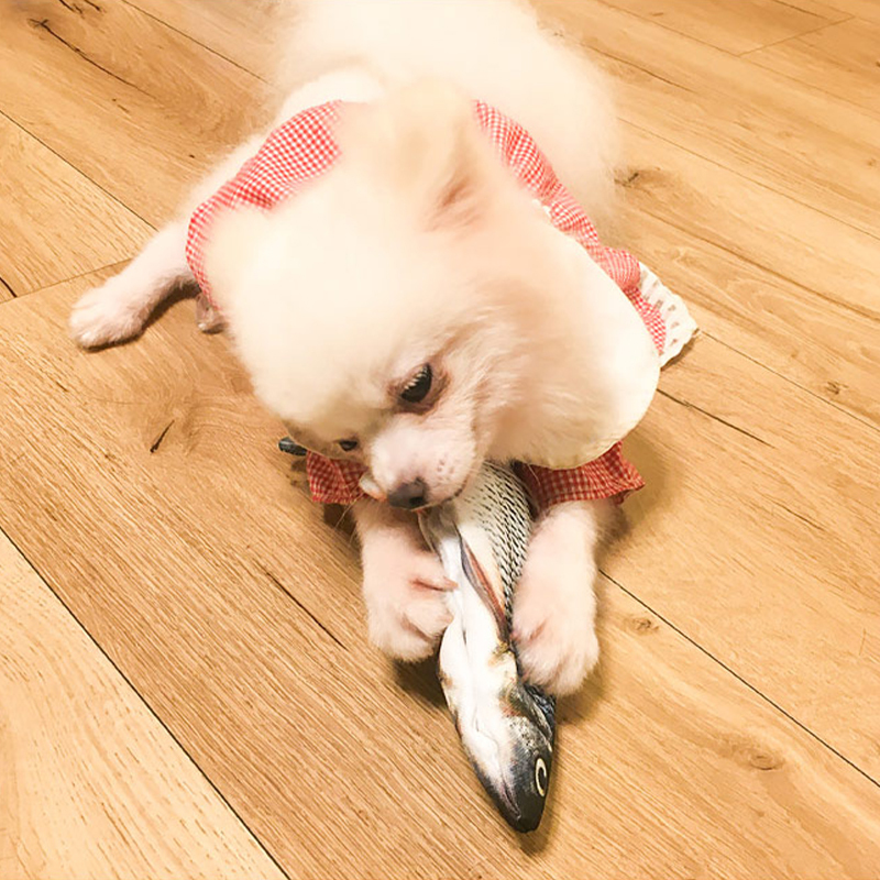 Electric Simulation Interactive Fish