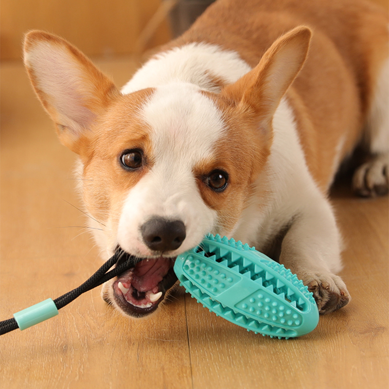 Leaky Ball Sucker Interactive Toy