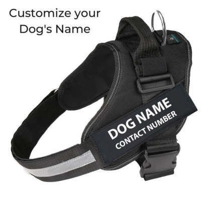 Walwoof Personalized Dog Harness
