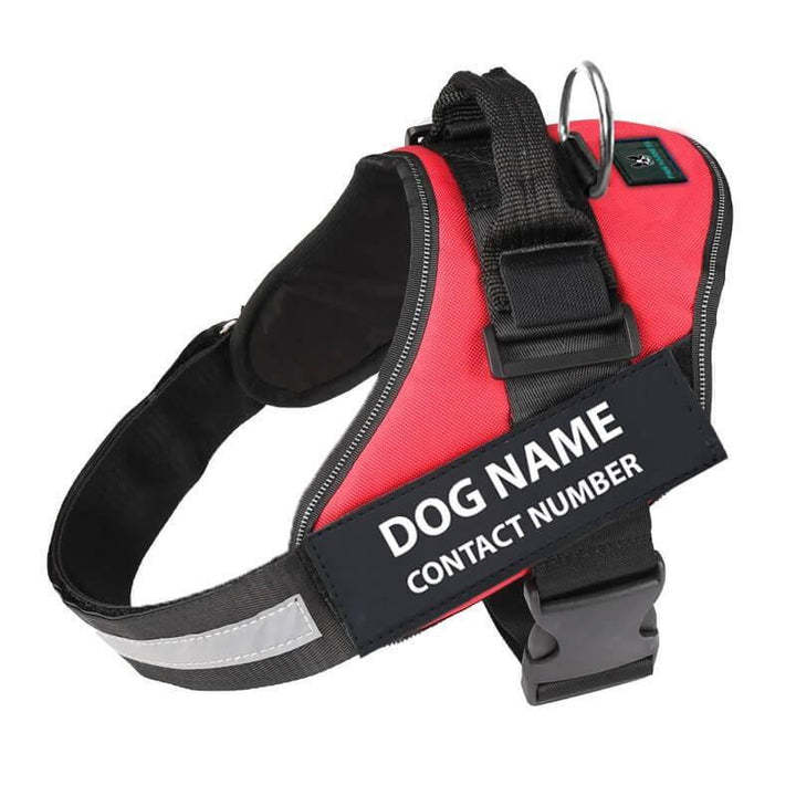 Walwoof Personalized Dog Harness