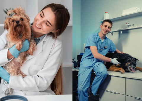 pawharness recommended by Veterinarians