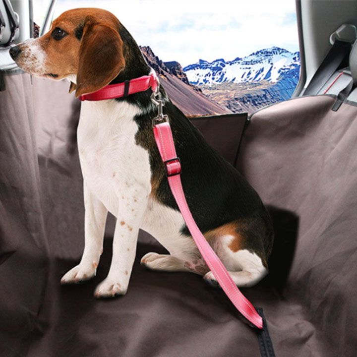 Universal Pet Seatbelt