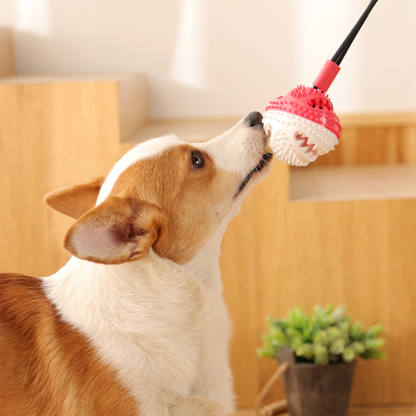 Leaky Ball Sucker Interactive Toy