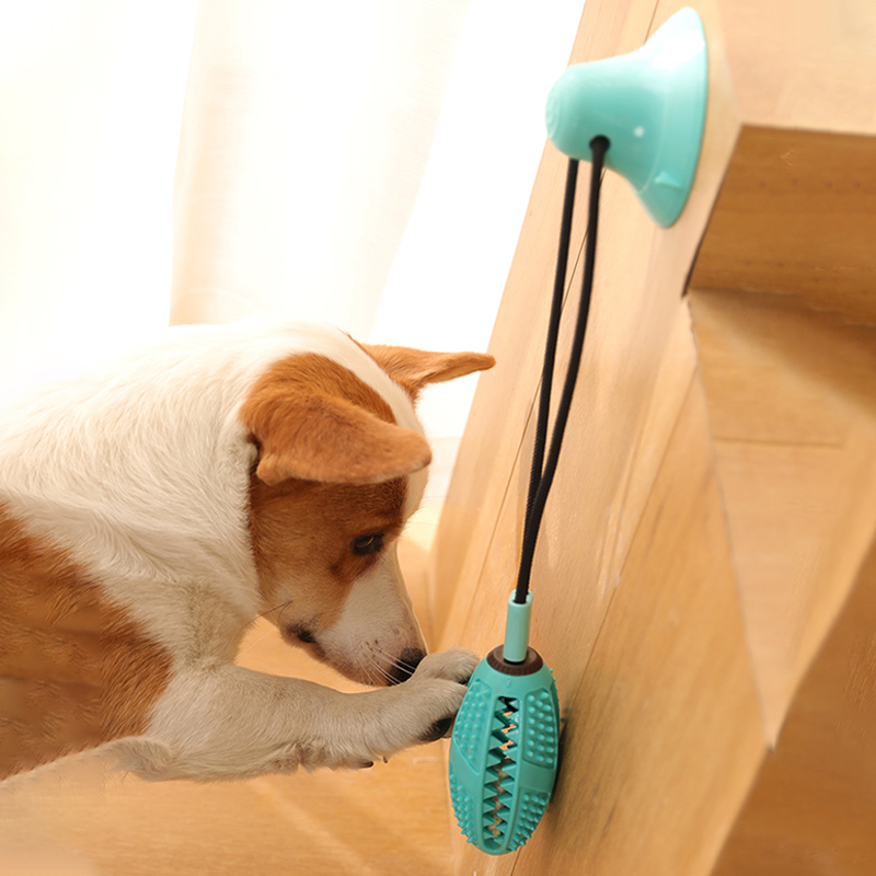 Leaky Ball Sucker Interactive Toy