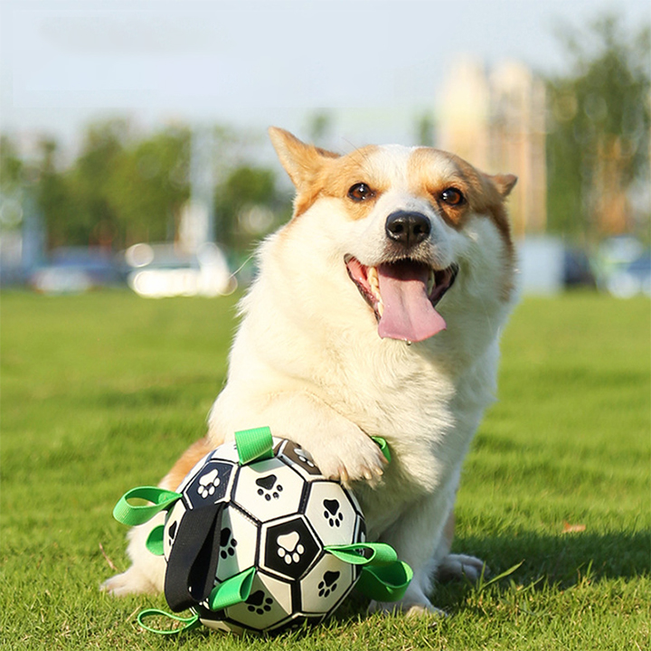 Walwoof Upgraded Interactive Dog Soccer Ball