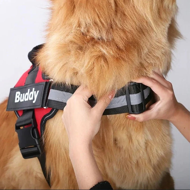 Walwoof Personalized Dog Harness