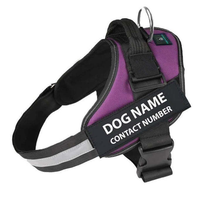 Walwoof Personalized Dog Harness