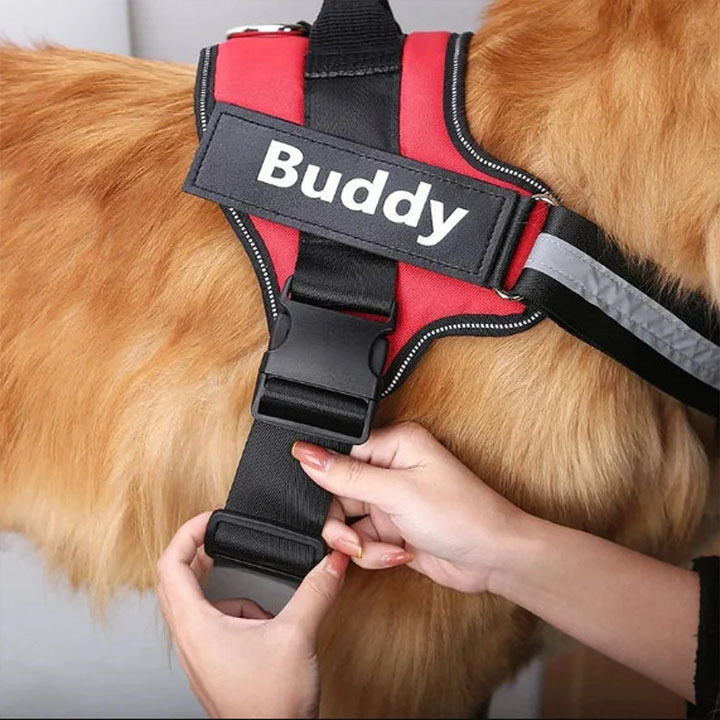 Walwoof Personalized Dog Harness