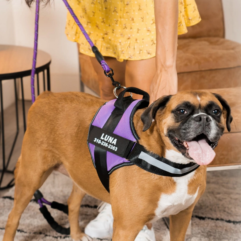 Walwoof Personalized Dog Harness