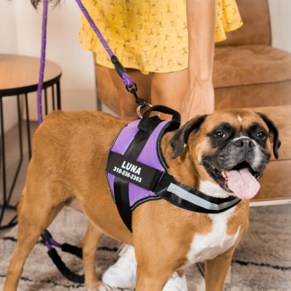 Walwoof Personalized Dog Harness