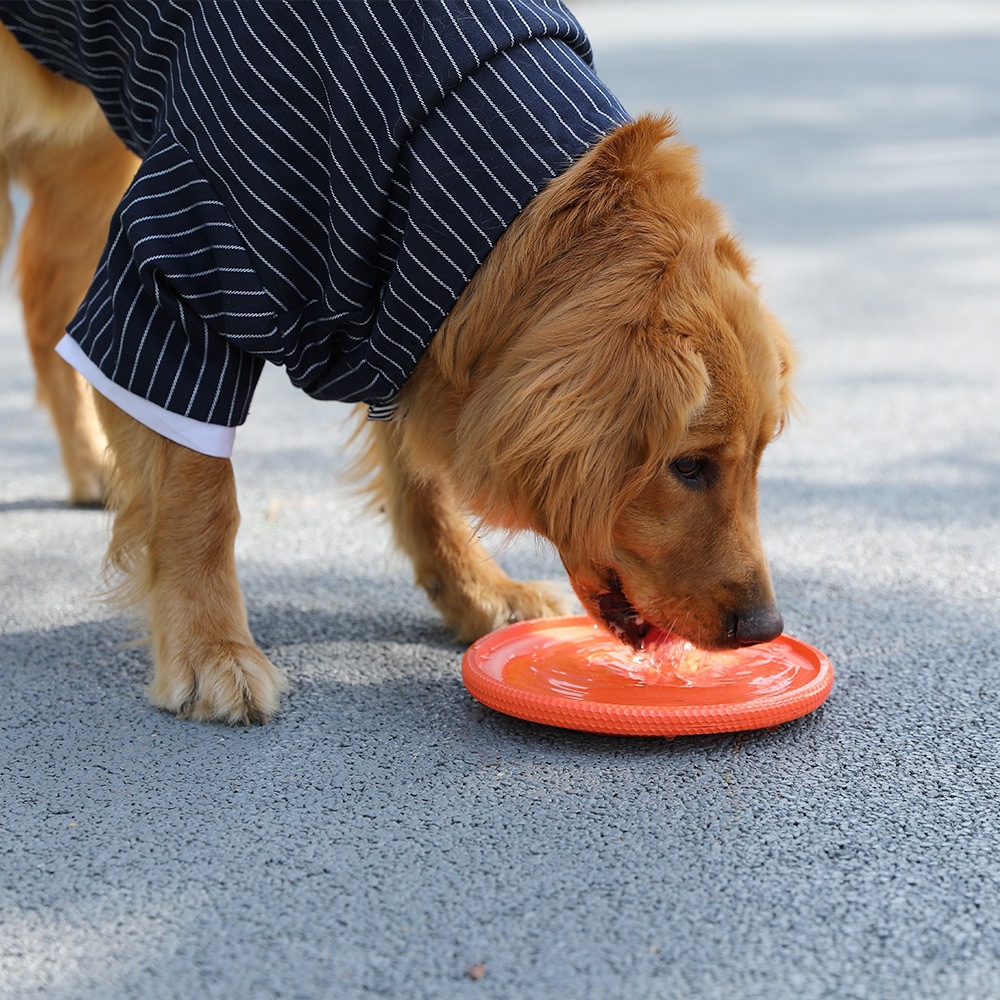 Frisbee Bite Resistant Training Dog Toys