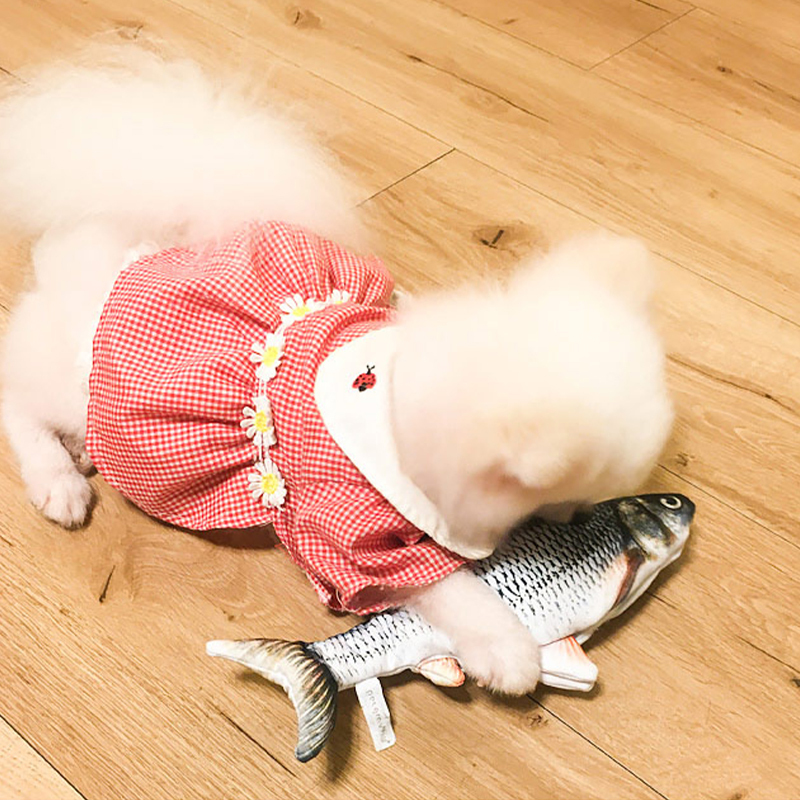 Electric Simulation Interactive Fish