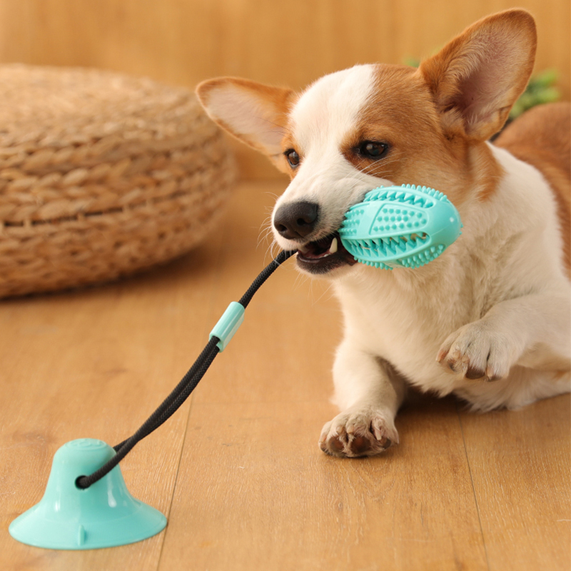 Leaky Ball Sucker Interactive Toy