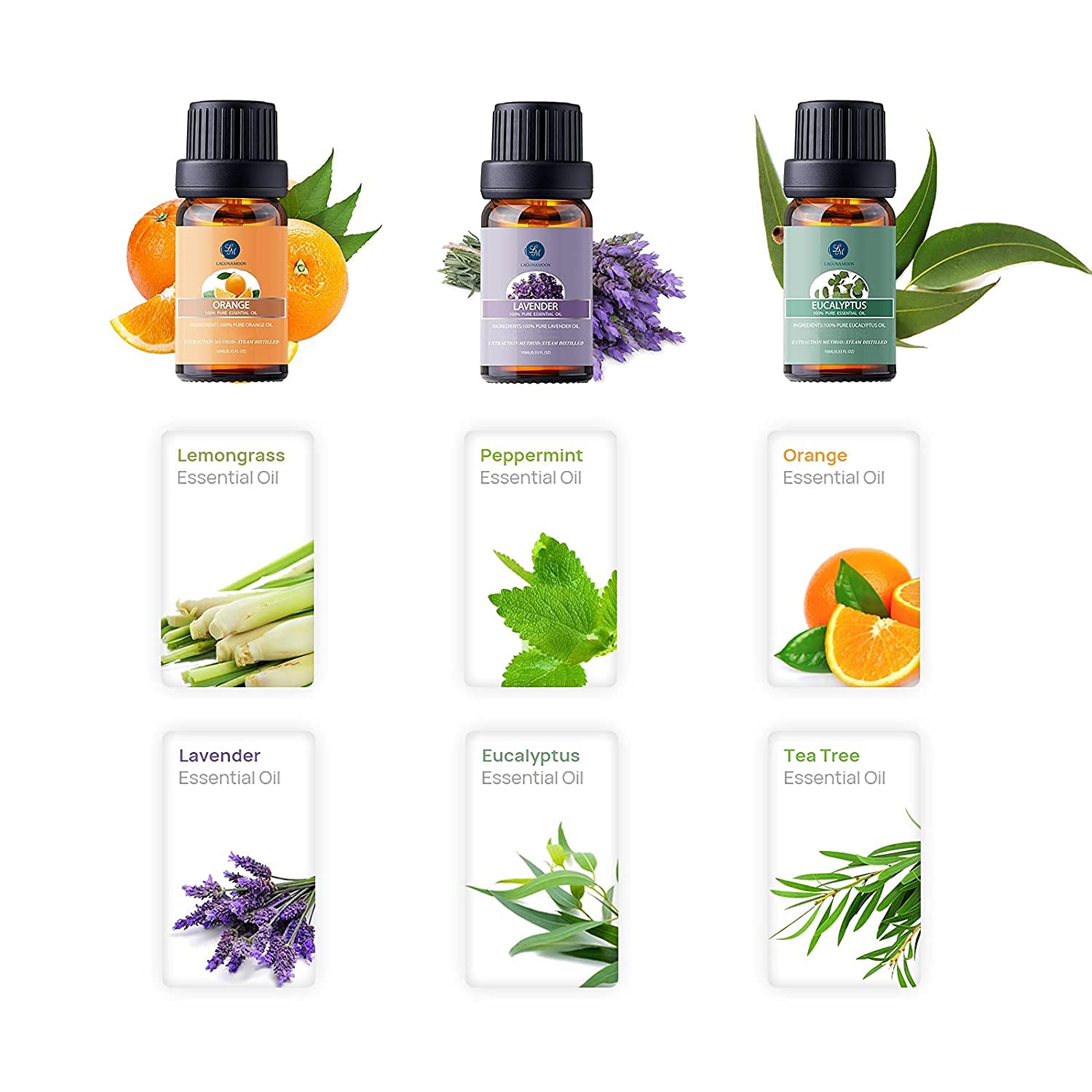 Essential Oils Top 6 Gift Set Pure Essential Oils for Diffuser, Humidifier, Massage, Aromatherapy, Skin & Hair Care