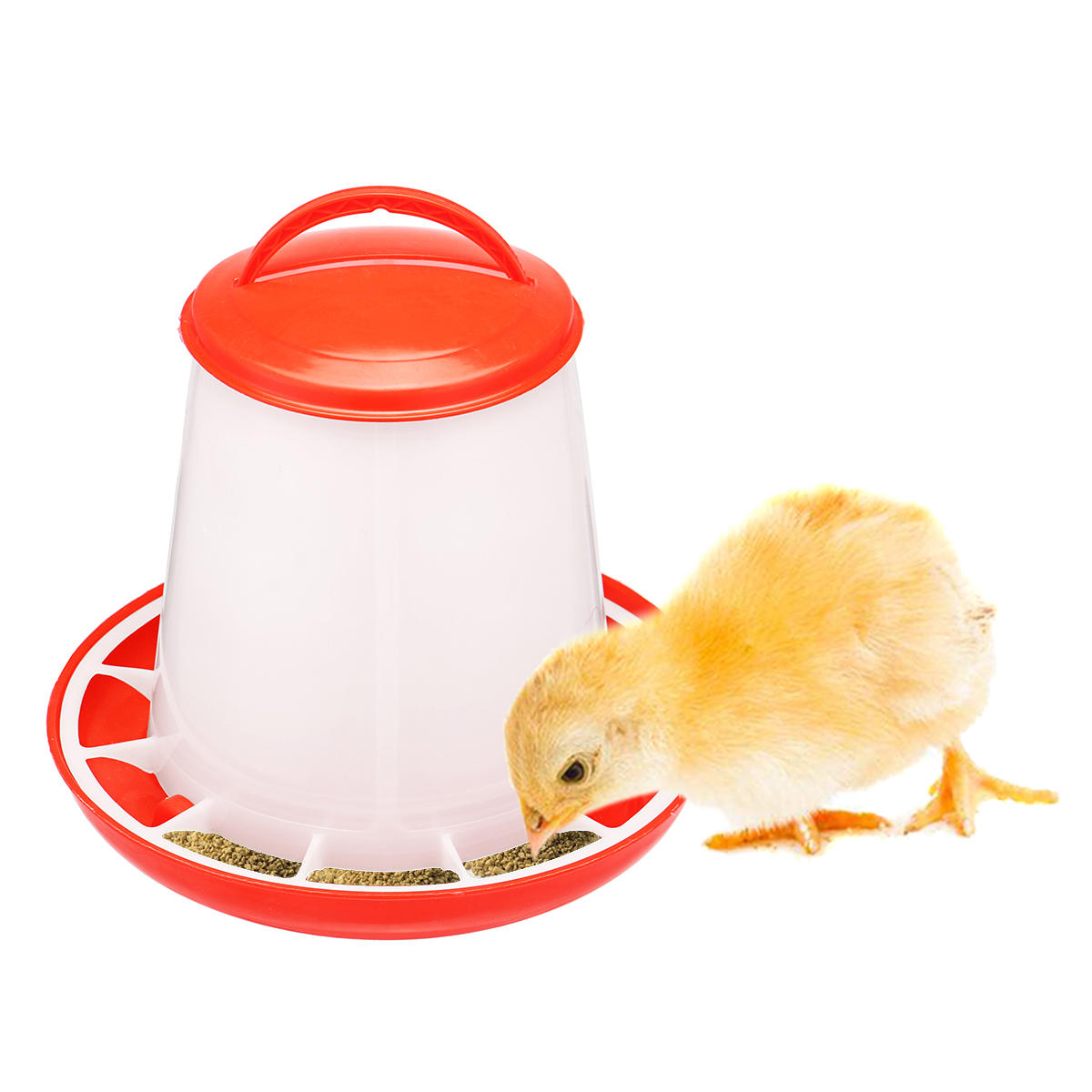 Chicken Feeder Drinker Bottles Poultry Feed Water Waterer Automatic Drink Bird Grid-heyidear