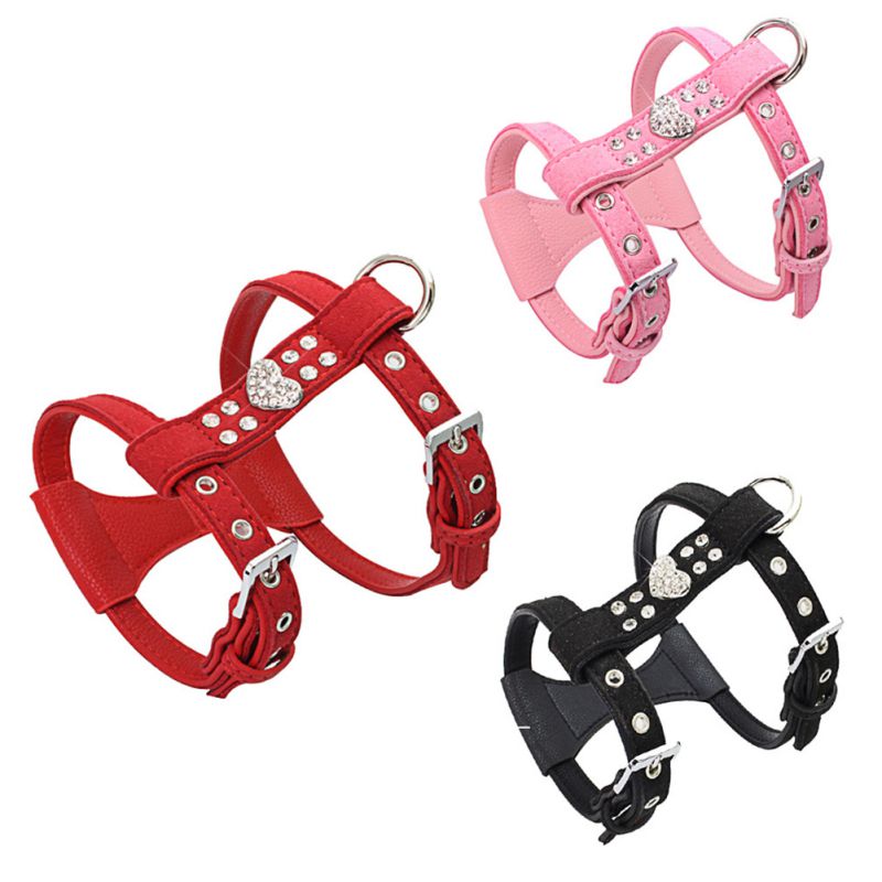 cute girl dog harness