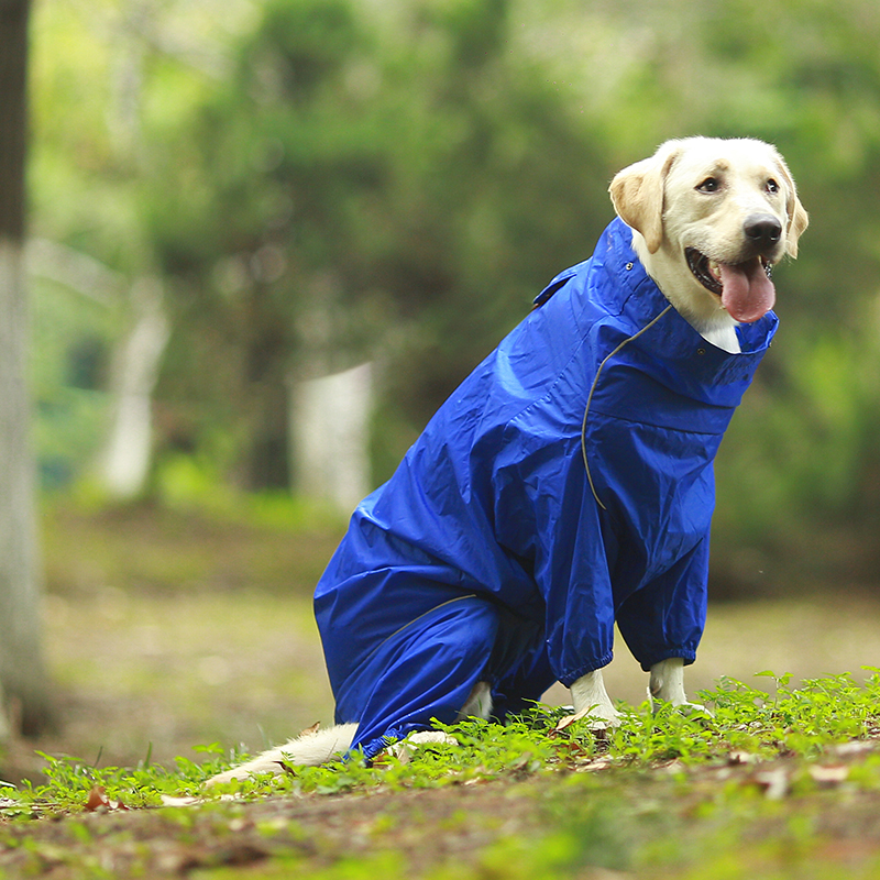 DogMEGA Reflective and Waterproof Raincoat for Dog