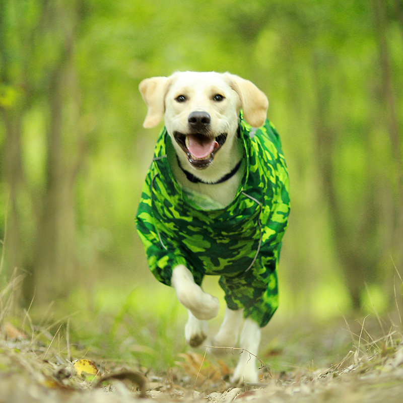 DogMEGA Reflective and Waterproof Raincoat for Dog