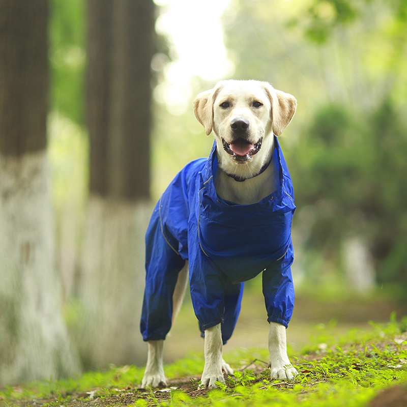 DogMEGA Reflective and Waterproof Raincoat for Dog
