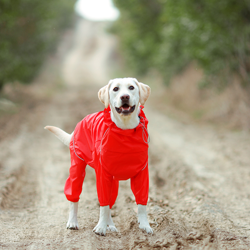 DogMEGA Reflective and Waterproof Raincoat for Dog