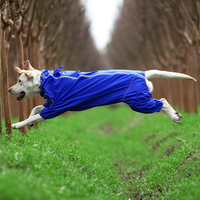 DogMEGA Reflective and Waterproof Raincoat for Dog
