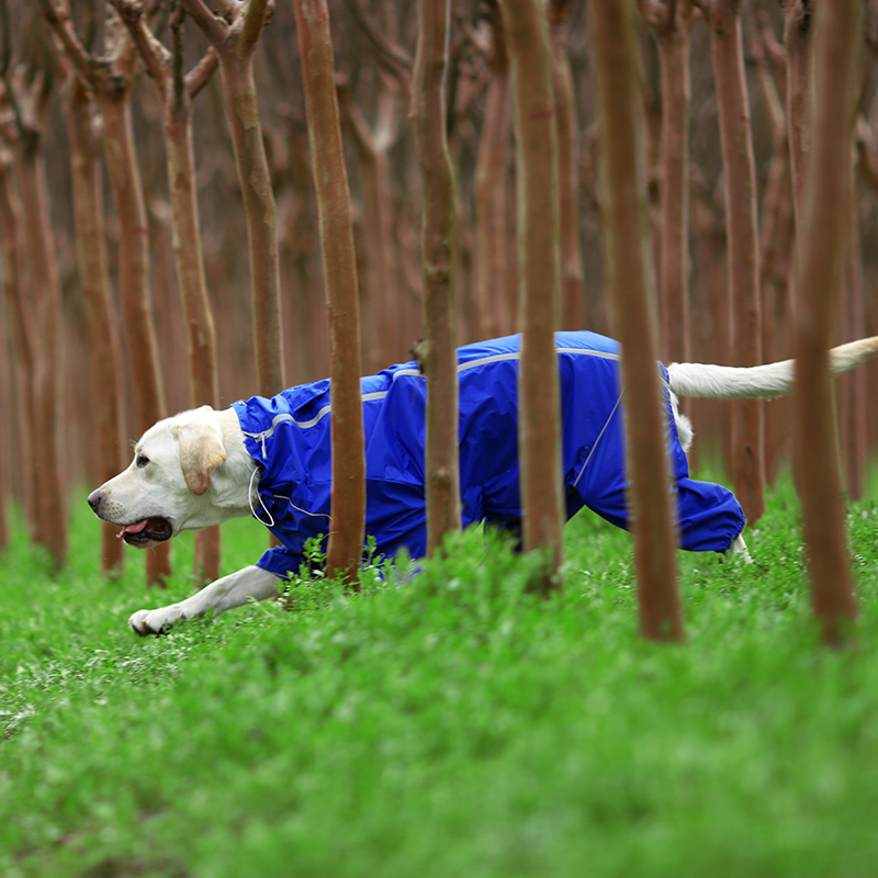 DogMEGA Reflective and Waterproof Raincoat for Dog