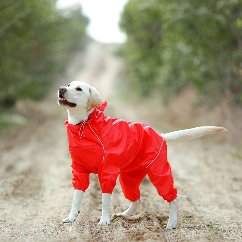 DogMEGA Reflective and Waterproof Raincoat for Dog
