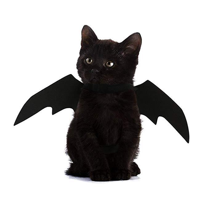 Halloween Pet Dog Cat Bat Wings Costume Black Pet Puppy Cat Clothing Pet T-shirt-heyidear