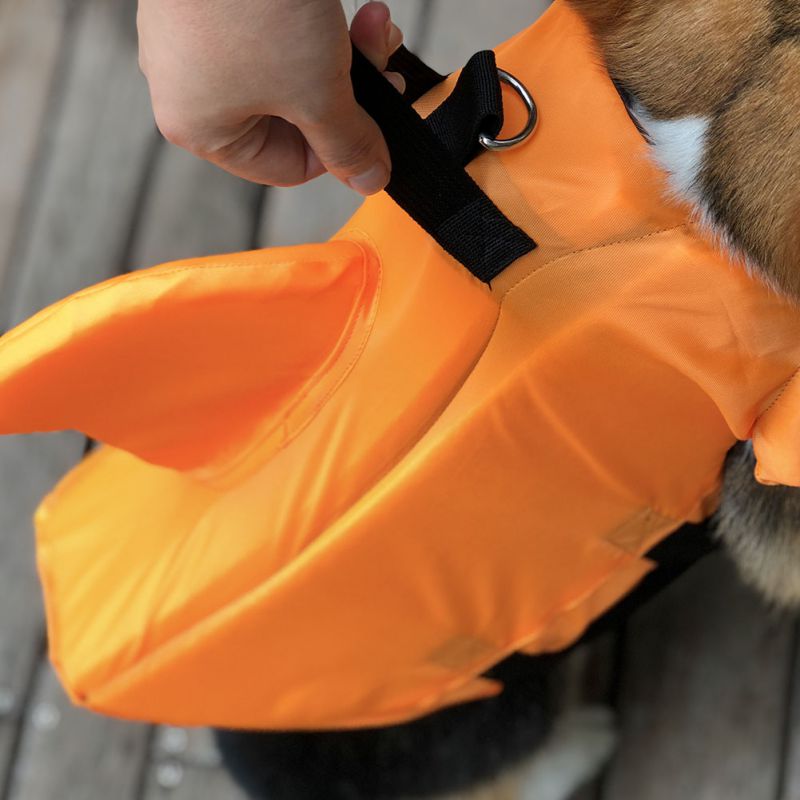 dog life vest