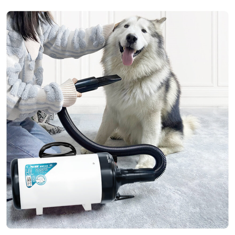 JASE PD9001 Pet Blowing Machine 2200W Low Noise Wam Wind Household Cat & Dog Fast Hair Dryer-heyidear