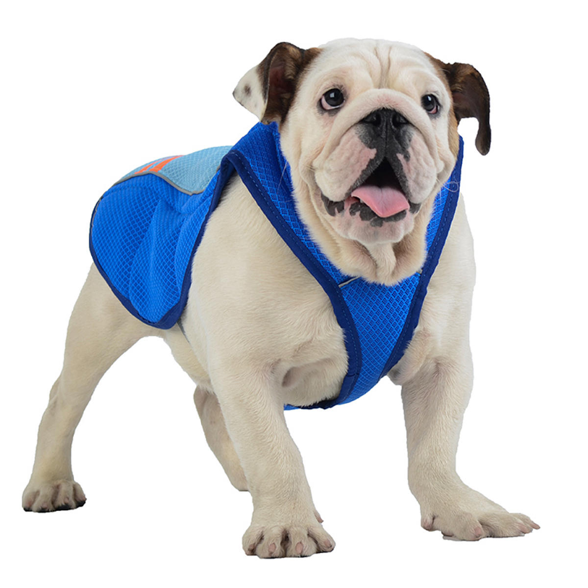 Pet Dog Summer Cool Vest Breathable Comfortable Sunscreen Cooling Clothes Jacket Pet Vest-heyidear