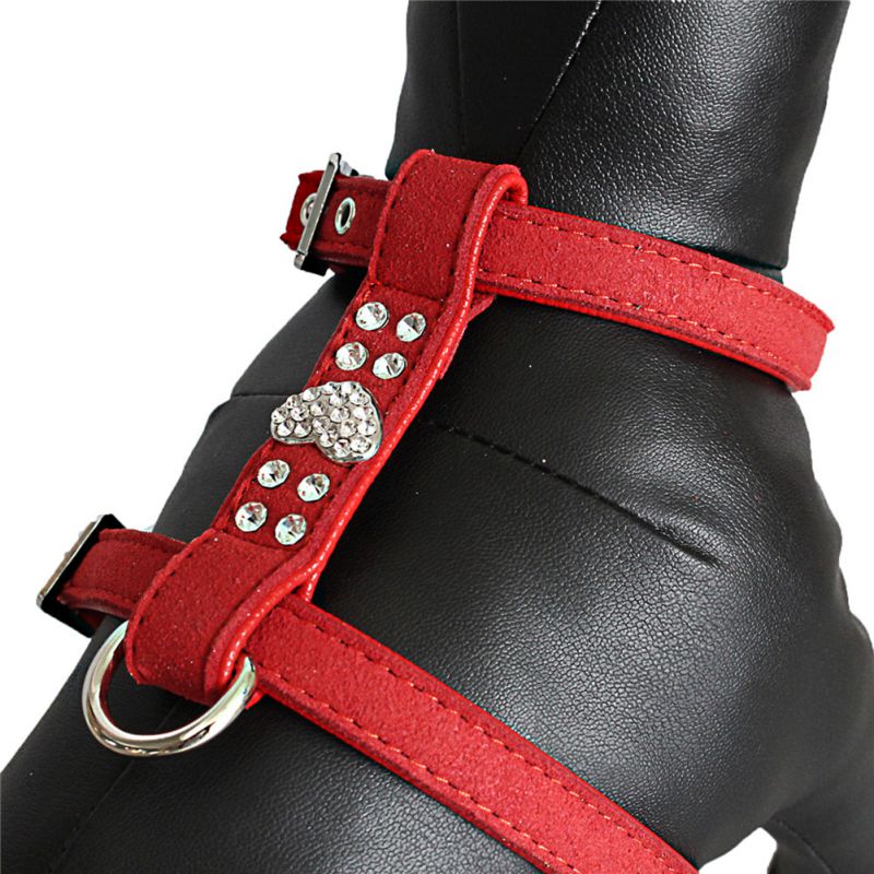 cute puppy harness