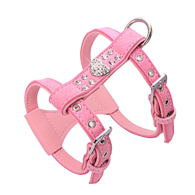 cute male dog harness