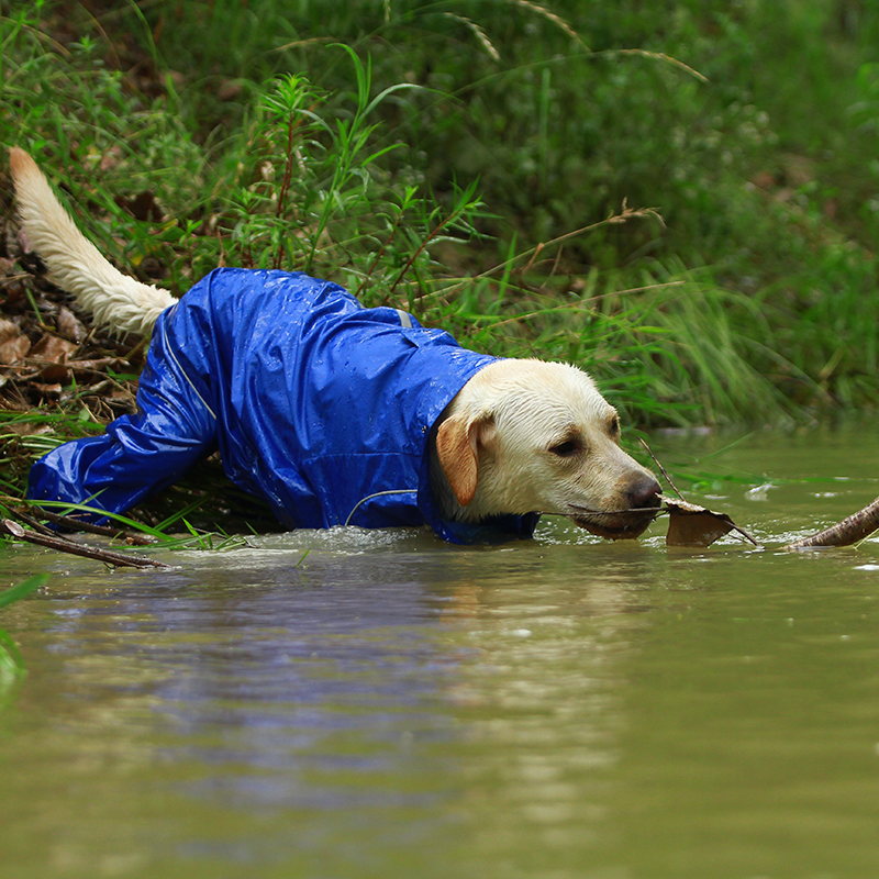 DogMEGA Reflective and Waterproof Raincoat for Dog