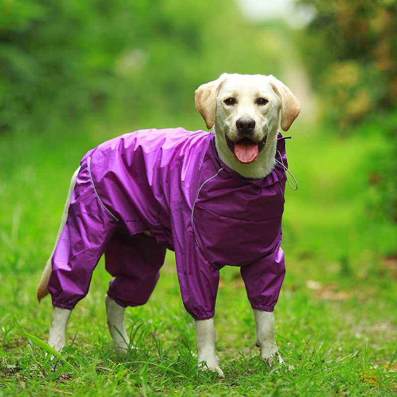 DogMEGA Reflective and Waterproof Raincoat for Dog