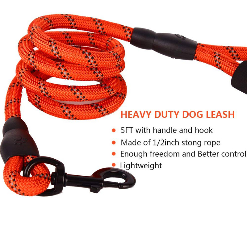 climbing rope leash
