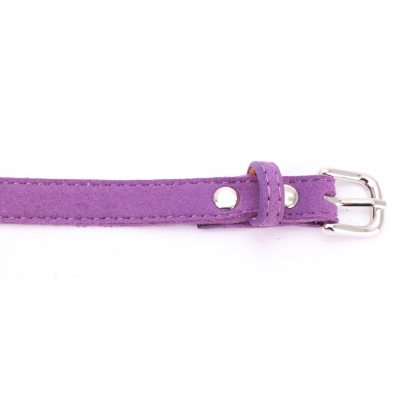 cute small dog harness