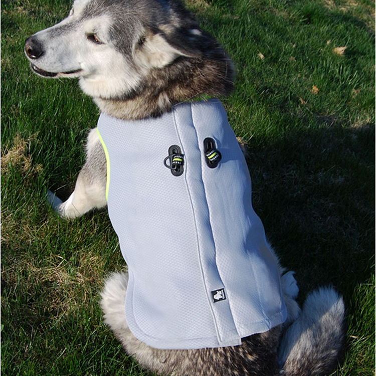 cooler jacket for dogs