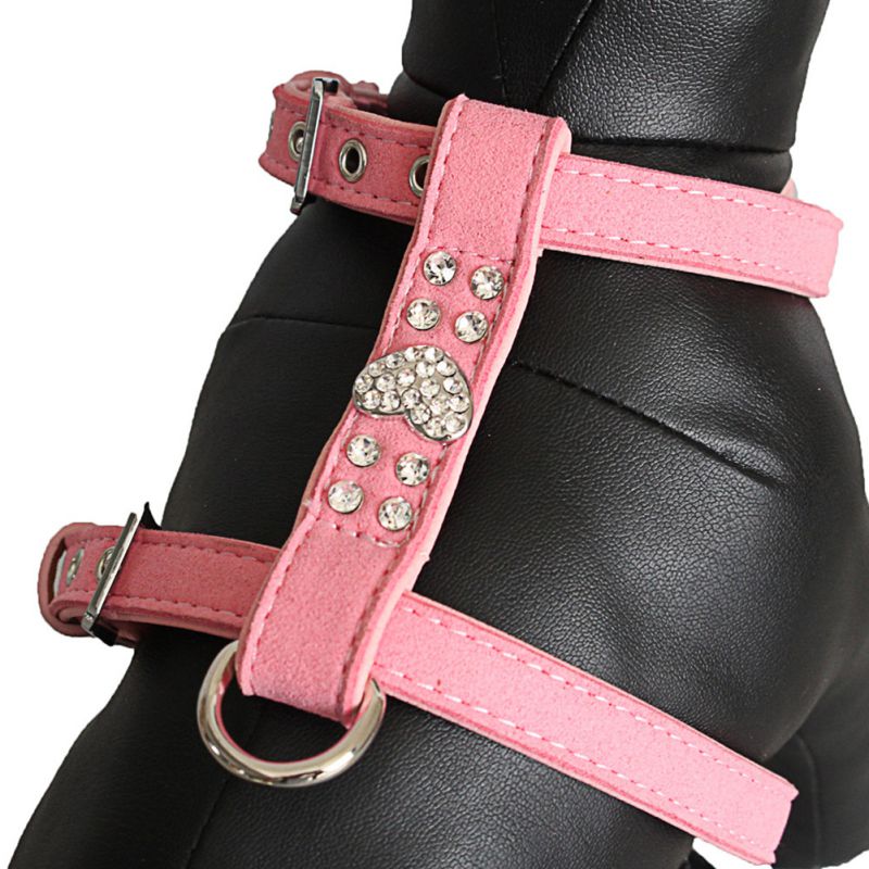 cute harness for girl dogs