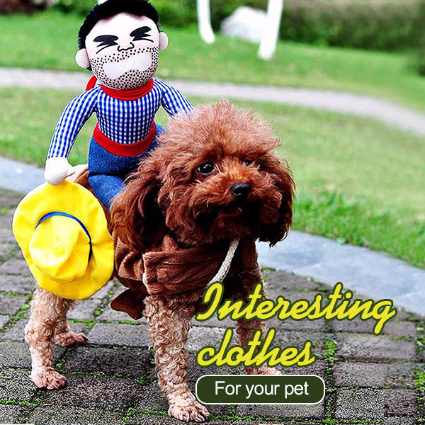 Dog Doggie Puppy Cat Pet Clothes Riders Costume Cowboy Harness Dress Up-heyidear