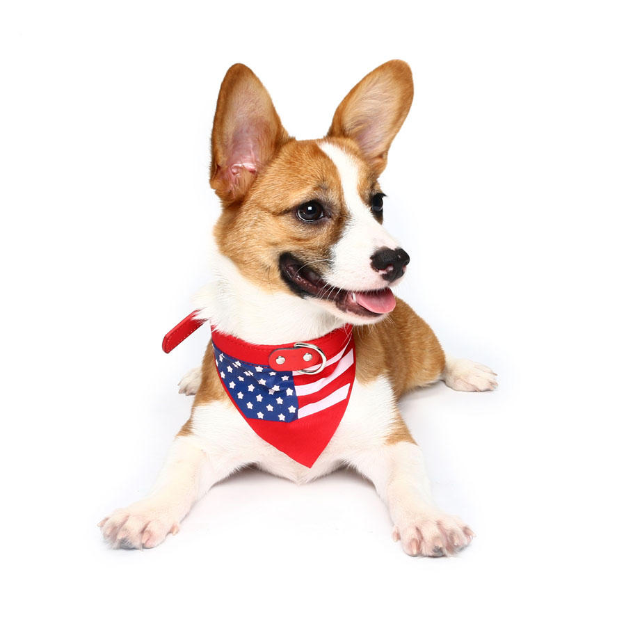 HG-PLJ1 Pet Dog American Flag Collar Pet PU Canvas Decorative Cool Collar-heyidear