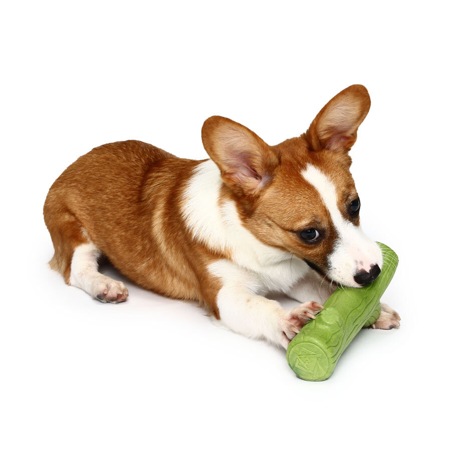 Pet Toys Training dog Props Enhance the Intelligence Dog Toys | Heyidear.com-heyidear