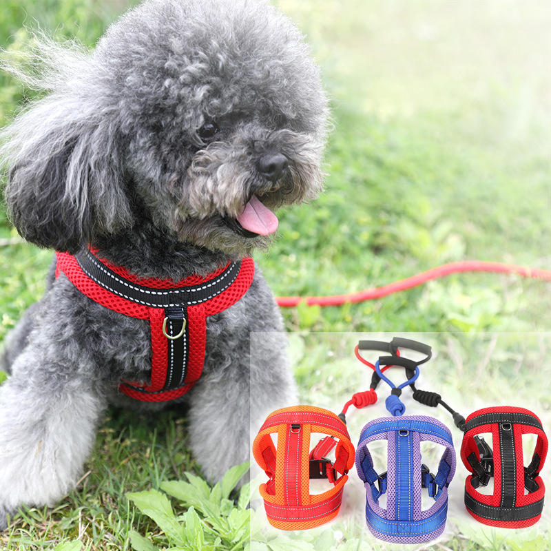 Pet Dog Cat Mesh Breathable Comfortable Strap Dog Traction Rope Adjustable Rope Buckle Dog Chain-heyidear