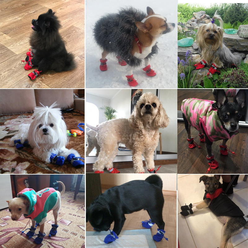 DogMEGA Waterproof Anti-Slip Dog Boots for Outdoor